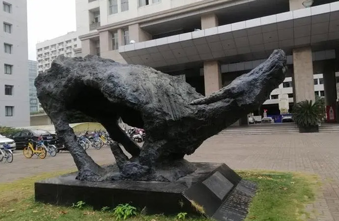 T~ğoĺζ